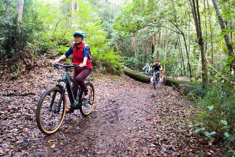 Guided E Bike Tour - Unicorn Falls & National Park - Queensland Tourism 9