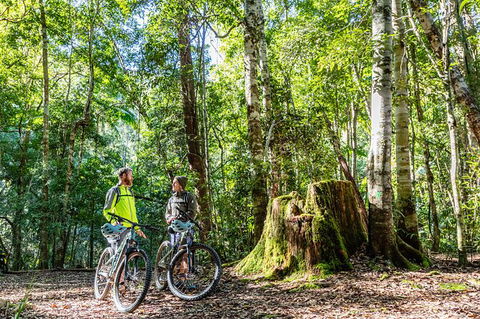 Guided E Bike Tour - Unicorn Falls & National Park - Queensland Tourism 14