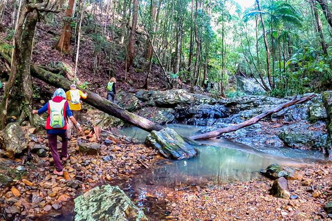 Guided E Bike Tour - Unicorn Falls & National Park - Queensland Tourism 17