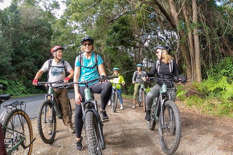 Guided E Bike Tour - Unicorn Falls & National Park - Queensland Tourism 11