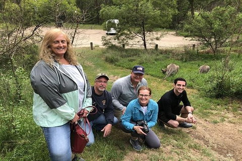 Full-Day Guided Tour Of Blue Mountains With Pick Up - QLD Tourism 2