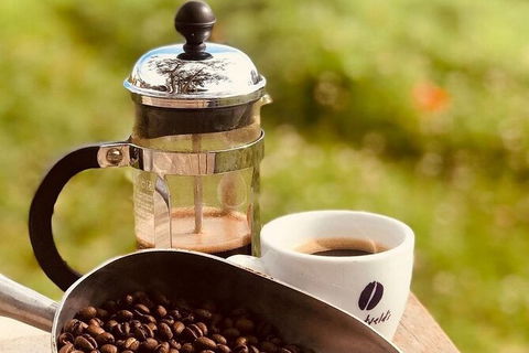 Coffee Farm Tour And Workshop, Byron Bay Hinterland - QLD Tourism 0