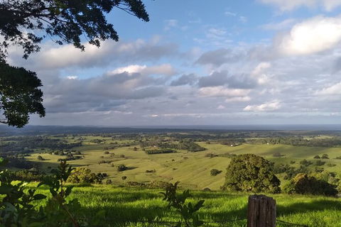 Coffee Farm Tour And Workshop, Byron Bay Hinterland - QLD Tourism 4
