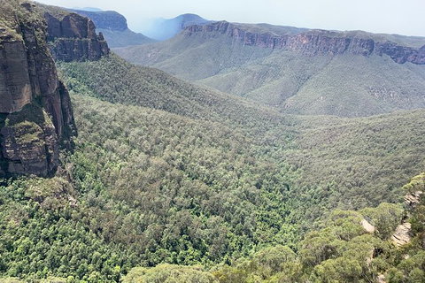 Blue Mountains Private Bus Tour From Sydney, Plus Featherdale Aussie Animal Park - QLD Tourism 3