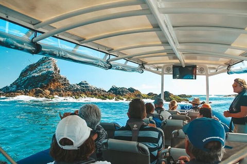 Julian Rocks Byron Bay Cruise - QLD Tourism 13