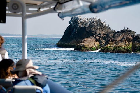 Julian Rocks Byron Bay Cruise - QLD Tourism 20