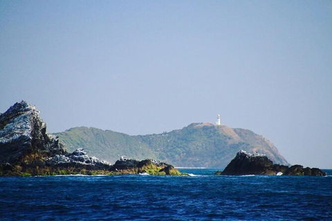 Julian Rocks Byron Bay Cruise - QLD Tourism 2