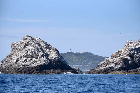 Julian Rocks Byron Bay Cruise - QLD Tourism 14