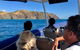 Julian Rocks Byron Bay Cruise - thumb 3
