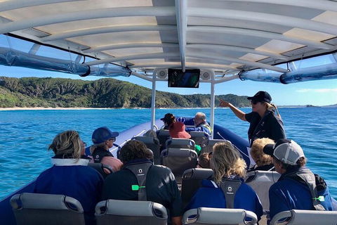 Julian Rocks Byron Bay Cruise - QLD Tourism 11