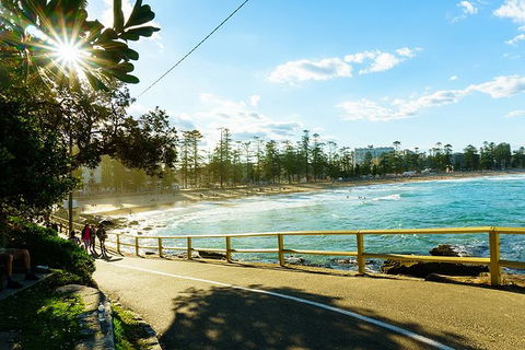 Sydney With Bondi And Beaches Essentials Private Day Tour - Queensland Tourism 8
