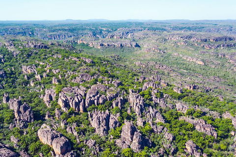 Jabiru 30 Minute Scenic Flight - QLD Tourism 1