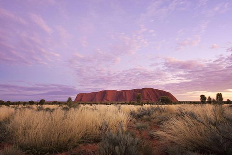 Explore Uluru: 7 Hours Guide Tour At Sunrise With Light Breakfast - QLD Tourism 4