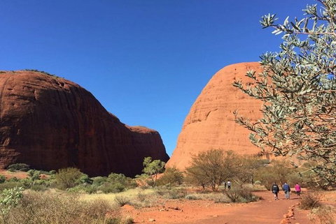 5-Hour Kata Tjuta Sunrise Tour From Ayers Rock With Breakfast - QLD Tourism 2