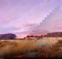 Sunset Australian Barbecue Dinner in Uluru - Queensland Tourism