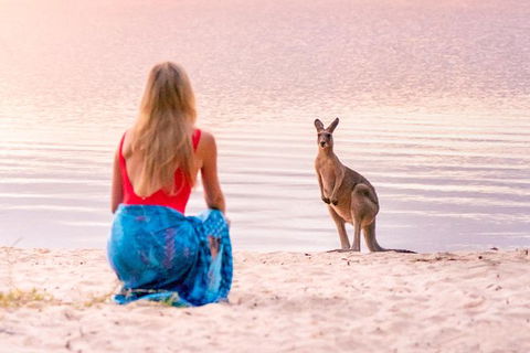 Serenity Cruise To Australia\'s Everglades - Queensland Tourism 10