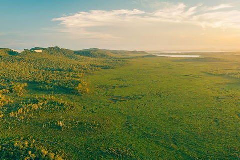 Serenity Cruise To Australia\'s Everglades - Queensland Tourism 6
