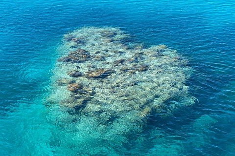 Lady Musgrave Day Trip From Bundaberg Including Snorkeling, Glass Bottom Tour And Guided Island Walk - QLD Tourism 2