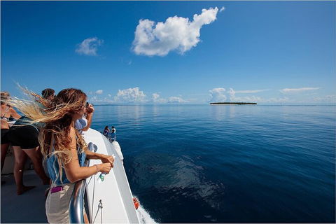 Lady Musgrave Day Trip From Bundaberg Including Snorkeling, Glass Bottom Tour And Guided Island Walk - QLD Tourism 4