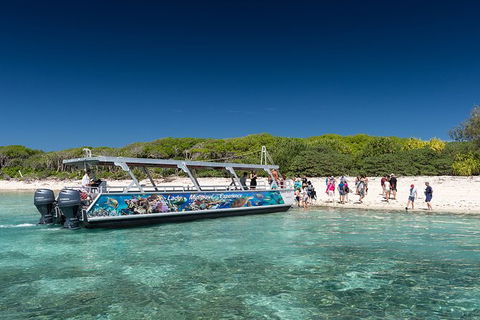 Lady Musgrave Day Trip From Bundaberg Including Snorkeling, Glass Bottom Tour And Guided Island Walk - QLD Tourism 5
