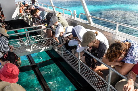Lady Musgrave Day Trip From Bundaberg Including Snorkeling, Glass Bottom Tour And Guided Island Walk - QLD Tourism 3
