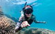 Lady Musgrave Day Trip From Bundaberg Including Snorkeling, Glass Bottom Tour And Guided Island Walk - thumb 1