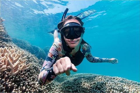 Lady Musgrave Day Trip From Bundaberg Including Snorkeling, Glass Bottom Tour And Guided Island Walk - QLD Tourism 1