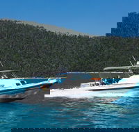 Private Standard Charter Experience in Whitsundays - QLD Tourism