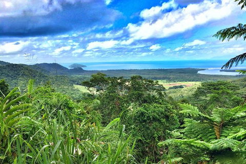Private Daintree National Park Day Tour From Cairns Including Cape Tribulation And Mossman Gorge - QLD Tourism 0