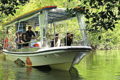Private Daintree National Park Day Tour From Cairns Including Cape Tribulation And Mossman Gorge - QLD Tourism 3