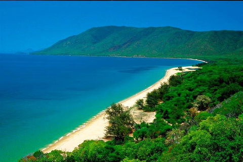 Private Daintree National Park Day Tour From Cairns Including Cape Tribulation And Mossman Gorge - QLD Tourism 4
