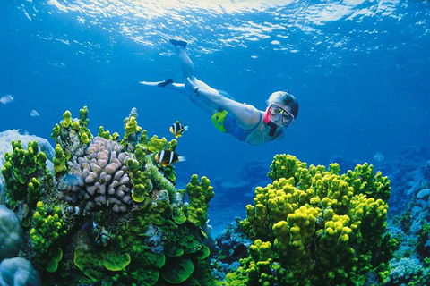 Full Day Snorkel In The Great Barrier Reef - QLD Tourism 0