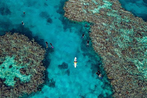 Full Day Snorkel In The Great Barrier Reef - QLD Tourism 1