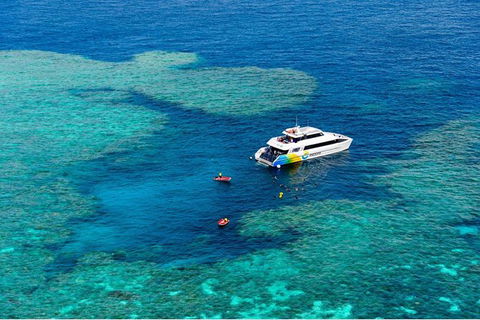 Full Day Snorkel In The Great Barrier Reef - QLD Tourism 6