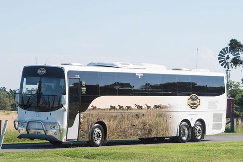 Winton Discovery Day Tour - Queensland Tourism 4