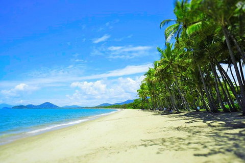 Airport Transfer - Palm Cove, Kewarra Beach & Trinity Beach To Cairns Airport - QLD Tourism 2