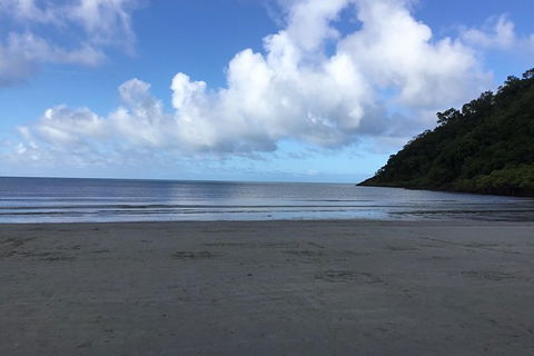 Daintree Luxury Limousine Tour - Full Day - QLD Tourism 6