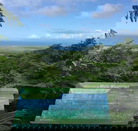 Daintree Luxury Limousine Tour - Full Day - QLD Tourism