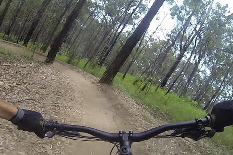 EMtn Bike + Brewery Day Tour - Queensland Tourism 6