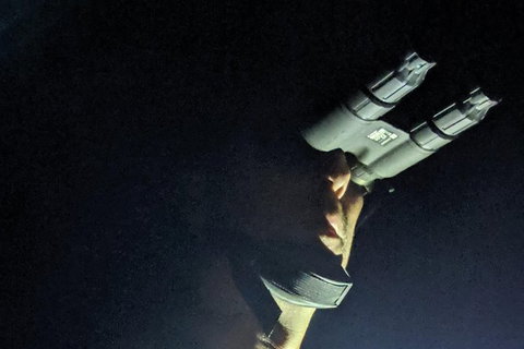 Nature By Night - QLD Tourism 3