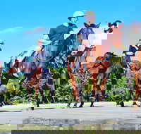 Mid-Morning Beach Horse Ride in Cape Tribulation with Pick Up - QLD Tourism