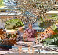 Full-Day Guided Tour to Montville Village with Lunch - Queensland Tourism