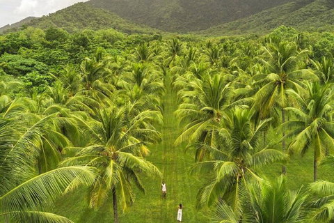 SHUTTLE - Thala Beach And Turtle Cove From Port Douglas (Return Transfer) - QLD Tourism 1