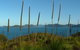 7-Day Private Sea Kayaking In Whitsundays - thumb 8