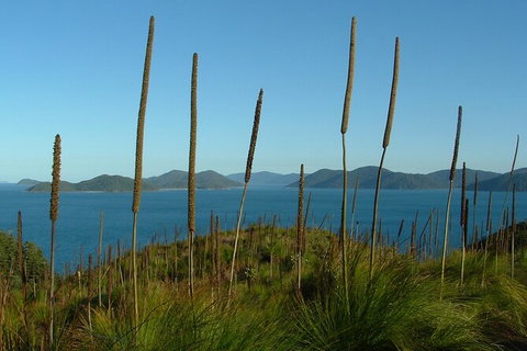 7-Day Private Sea Kayaking In Whitsundays - QLD Tourism 8