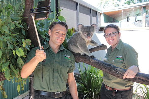 Virtual Interactive Australian Wildlife Tour With Private Guide-Wildlife Habitat - QLD Tourism 4