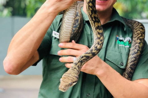 Virtual Interactive Australian Wildlife Tour With Private Guide-Wildlife Habitat - QLD Tourism 3