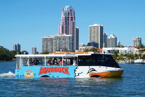 Aquaduck & Paradise Jet Boating Combo - Queensland Tourism 5