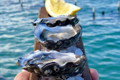 Coffin Bay Oysters, Ocean & Nature Tour - Queensland Tourism 0