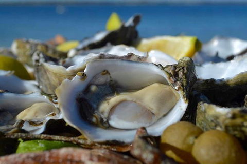 Coffin Bay Oysters, Ocean & Nature Tour - Queensland Tourism 8